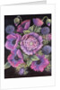 Anemones and thistles, 1998 by Margo Starkey