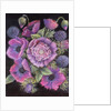 Anemones and thistles, 1998 by Margo Starkey