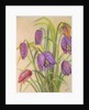 Bunch of Fritillaria, 2015 by Margo Starkey