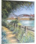 Barnes Bridge by Margo Starkey