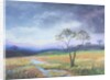 Dartmoor Scene by Margo Starkey