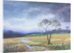 Dartmoor Scene by Margo Starkey
