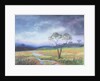 Dartmoor Scene by Margo Starkey
