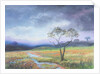 Dartmoor Scene by Margo Starkey