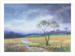 Dartmoor Scene by Margo Starkey