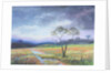 Dartmoor Scene by Margo Starkey