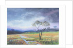 Dartmoor Scene by Margo Starkey