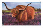 Highland Bull in Scotish Heather, 2018 by Margo Starkey