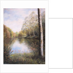 River Dart Devon by Margo Starkey