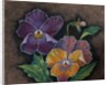 Three Pansies by Margo Starkey