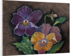 Three Pansies by Margo Starkey