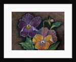 Three Pansies by Margo Starkey