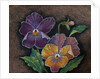 Three Pansies by Margo Starkey
