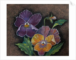 Three Pansies by Margo Starkey
