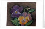 Three Pansies by Margo Starkey