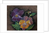 Three Pansies by Margo Starkey