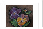 Three Pansies by Margo Starkey