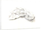 Curled-up Sheet, 2004 by Miles Thistlethwaite