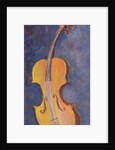 The Violin, 2000 by Antonia Myatt
