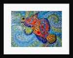 Mandarin Fish, 2013 by Maylee Christie