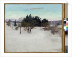 Winter Landscape, 1902 by Abbott Handerson Thayer