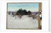 Winter Landscape, 1902 by Abbott Handerson Thayer