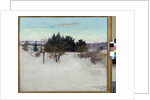 Winter Landscape, 1902 by Abbott Handerson Thayer