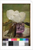 Magnolia Blossom by John La Farge or Lafarge