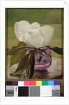 Magnolia Blossom by John La Farge or Lafarge