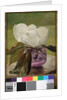 Magnolia Blossom by John La Farge or Lafarge