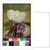 Magnolia Blossom by John La Farge or Lafarge
