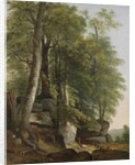 Landscape with Rocks and Trees, c.1845 by Asher Brown Durand