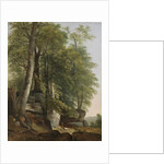 Landscape with Rocks and Trees, c.1845 by Asher Brown Durand