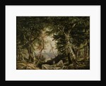 Glimpses from the Forest, 1856 by Daniel Huntington