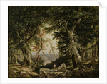 Glimpses from the Forest, 1856 by Daniel Huntington