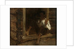 Negro Boy, c.1860-61 by Eastman Johnson