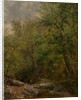 Study from Nature, 1863 by Thomas Worthington Whittredge