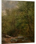 Study from Nature, 1863 by Thomas Worthington Whittredge