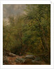 Study from Nature, 1863 by Thomas Worthington Whittredge