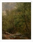 Study from Nature, 1863 by Thomas Worthington Whittredge