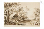 Tombs at Muthuata Island, Fiji by Alfred Thomas Agate