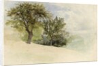 Landscape with Trees on a Hillside, 1880-85 by William Trost Richards