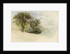 Landscape with Trees on a Hillside, 1880-85 by William Trost Richards