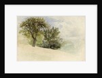 Landscape with Trees on a Hillside, 1880-85 by William Trost Richards