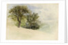 Landscape with Trees on a Hillside, 1880-85 by William Trost Richards