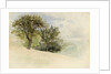 Landscape with Trees on a Hillside, 1880-85 by William Trost Richards