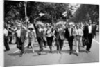The March on Washington: Marchers Wearing Hats Carry Puerto Rican Flags Down Constitution Avenue, 29th August 1963 by Nat Herz