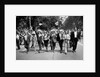 The March on Washington: Marchers Wearing Hats Carry Puerto Rican Flags Down Constitution Avenue, 29th August 1963 by Nat Herz