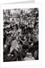 The March on Washington: A Crowd of Seated Marchers, 28th August 1963 by Nat Herz