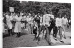 The March on Washington: Freedom Walkers, 28th August 1963 by Nat Herz